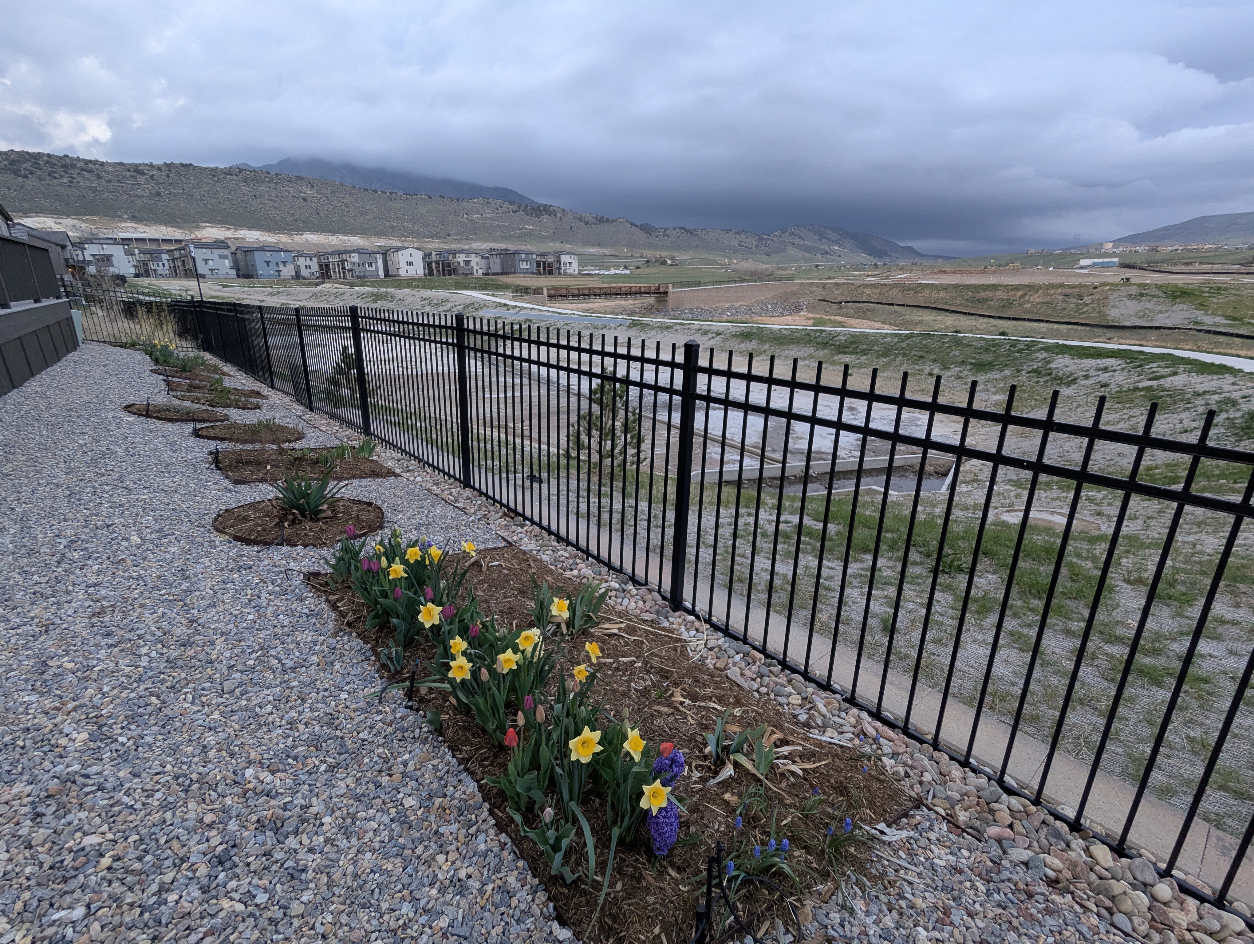 Garden, Flowers, Morrison, Colorado
